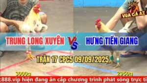 Trận 17 CPC5 9/9/2025 - Anh Trung Long Xuyên Và Anh Hưng Tiền Giang