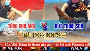 Trận 17 CPC5 18/9/2025 - Anh Tùng Chợ Mới Và Anh Đức Thoại Sơn