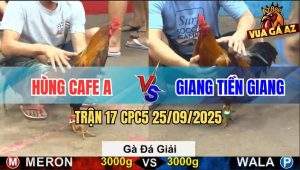 Trận 17 CPC5 25/9/2025 - Anh Hùng Cafe A Gặp Anh Giang Tiền Giang