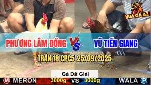 Trận 18 CPC5 25/9/2025 - Anh Phương Lâm Đồng Gặp Anh Vũ Tiền Giang