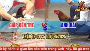 Trận 19 CPC5 10/9/2025 - Anh Giáp Bến Tre Và Anh Hải