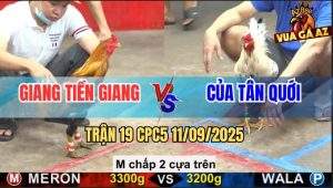 Trận 19 CPC5 11/9/2025 - Anh Giang Tiền Giang Và Anh Của Tân Quới