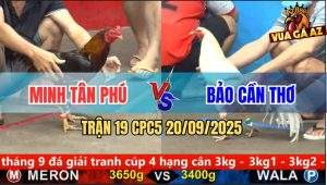 Trận 19 CPC5 21/9/2025 - Anh Minh Tân Phú Và Anh Bảo Cần Thơ