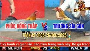 Trận 19 CPC5 26/9/2025 - Anh Phúc Đồng Tháp Và Anh Trường Sài Gòn