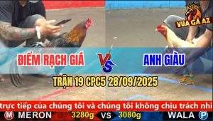 Trận 19 CPC5 28/9/2025 - Anh Điểm Rạch Giá Và Anh Giàu
