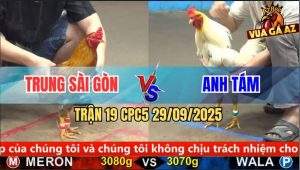 Trận 19 CPC5 29/9/2025 - Anh Trung Sài Gòn Và Anh Tám