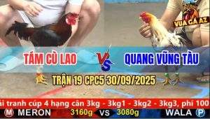 Trận 19 CPC5 30/9/2025 - Anh Tám Cù Lao Và Anh Quang Vũng Tàu