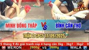Trận 2 CPC5 17/9/2025 - Anh Minh Đồng Tháp Và Anh Bình Cần Thơ