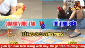 Trận 20 CPC5 9/9/2025 - Anh Quang Vũng Tàu Và Anh Trí Tịnh Biên
