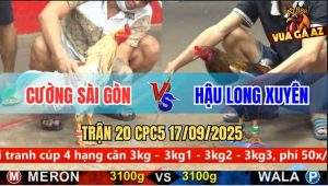 Trận 20 CPC5 17/9/2025 - Anh Cường Sài Gòn Và Anh Hậu Long Xuyên