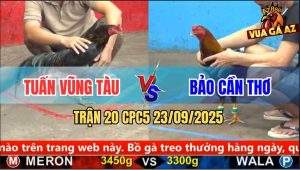 Trận 20 CPC5 23/9/2025 - Anh Tuân Vũng Tàu Và Anh Bảo Cần Thơ