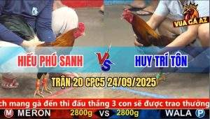Trận 20 CPC5 24/9/2025 - Anh Hiếu Phú Sanh Và Anh Huy Trí Tôn