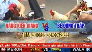 Trận 20 CPC5 28/9/2025 - Anh Vàng Kiên Giang Và Anh Bé Đồng Tháp