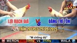 Trận 20 CPC5 29/9/2025 - Anh Lợi Rạch Giá Và Anh Đăng Trí Tôn