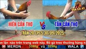 Trận 20 CPC5 30/9/2025 - Anh Hiển Cần Thơ Và Anh Tân Cần Thơ