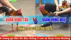 Trận 21 CPC5 9/9/2025 - Anh Xuân Vũng Tàu Và Anh Quân Hồng Ngự