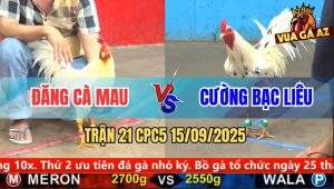 Trận 21 CPC5 15/9/2025 - Anh Đăng Cà Mau Và Anh Cường Bạc Liêu