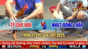 Trận 21 CPC5 16/9/2025 - Anh Tý Chợ Mới Và Anh Nhựt Đồng Tháp
