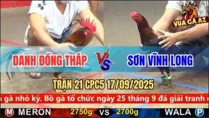Trận 21 CPC5 17/9/2025 - Danh Đồng Tháp Và Anh Sơn Vĩnh Long