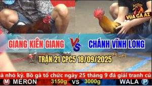 Trận 21 CPC5 18/9/2025 - Anh Giang Kiên Giang Và Anh Chánh Vĩnh Long
