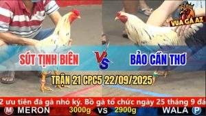 Trận 21 CPC5 22/9/2025 - Anh Sút Tịnh Biên Và Anh Bảo Cần Thơ