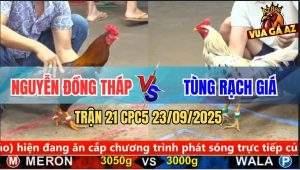 Trận 21 CPC5 23/9/2025 - Anh Nguyễn Đồng Tháp Và Anh Tùng Rạch Giá
