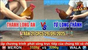 Trận 21 CPC5 29/9/2025 - Anh Thanh Long An Và Anh Tứ Long Thành