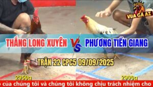 Trận 22 CPC5 9/9/2025 - Anh Thắng Long Xuyên Và Anh Phương Tiền Giang