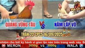 Trận 22 CPC5 16/9/2025 - Anh Quang Vũng Tàu Và Anh Năm Lấp Vò