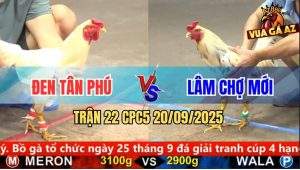 Trận 22 CPC5 21/9/2025 - Anh Đen Tân Phú Và Anh Lâm Chợ Mới
