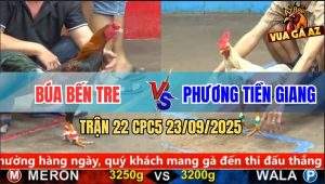 Trận 22 CPC5 23/9/2025 - Anh Búa Bến Tre Và Anh Phương Tiền Giang