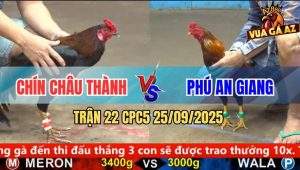 Trận 22 CPC5 25/9/2025 - Anh Chín Châu Thành Và Anh Phú An Giang