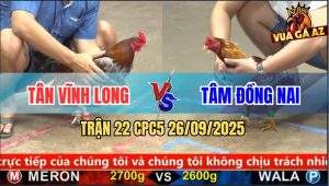 Trận 22 CPC5 26/9/2025 - Anh Tân Vĩnh Long Và Anh Tâm Đồng Nai