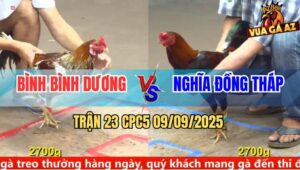 Trận 23 CPC5 9/9/2025 - Anh Bình Bình Dương Và Anh Nghĩa Đồng Tháp