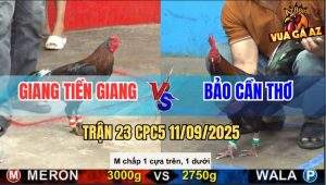 Trận 23 CPC5 11/9/2025 - Anh Giang Tiền Giang Và Anh Bảo Cần Thơ