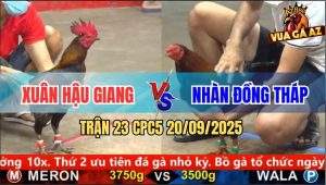 Trận 23 CPC5 21/9/2025 - Anh Xuân Hậu Giang Và Anh Nhàn Đồng Tháp
