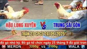 Trận 23 CPC5 24/9/2025 - Anh Hậu Long Xuyên Và Anh Trung Sài Gòn