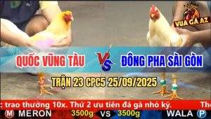 Trận 23 CPC5 25/9/2025 - Anh Quốc Vũng Tàu Và Anh Đông Pha Sài Gòn