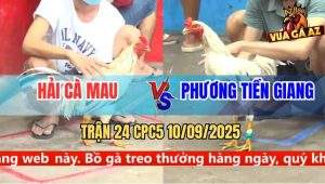Trận 24 CPC5 10/9/2025 - Anh Hải Cà Mau Và Anh Phương Tiền Giang