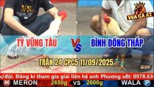 Trận 24 CPC5 11/9/2025 - Anh Tý Vũng Tàu Và Anh Bình Đồng Tháp
