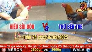 Trận 24 CPC5 16/9/2025 - Anh Hiếu Sài Gòn Và Anh Thơ Bến Tre