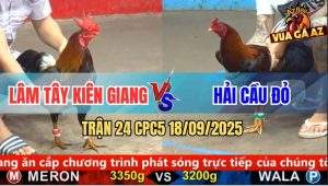 Trận 24 CPC5 18/9/2025 - Anh Lâm Tây Kiên Giang Và Anh Hải Cầu Đỏ