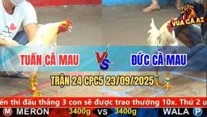 Trận 24 CPC5 23/9/2025 - Anh Tuấn Cà Mau Và Anh Đức Cà Mau