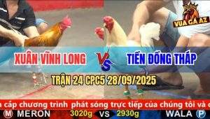 Trận 24 CPC5 28/9/2025 - Anh Xuân Vĩnh Long Và Anh Tiền Đồng Tháp