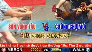 Trận 25 CPC5 24/9/2025 - Anh Sơn Vũng Tàu Và Anh Cường Chợi Mới
