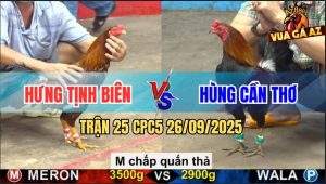 Trận 25 CPC5 26/9/2025 - Anh Hưng Tịnh Biên Và Anh Hùng Cần Thơ