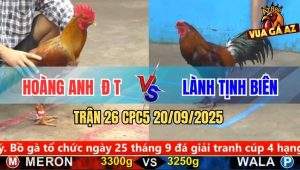 Trận 26 CPC5 20/9/2025 - Anh Hoàng Anh Đồng Tháp Và Anh Lành Tịnh Biên