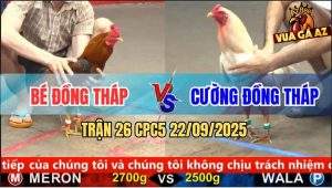 Trận 26 CPC5 22/9/2025 - Anh Bé Đồng Tháp Và Anh Cường Đồng Tháp