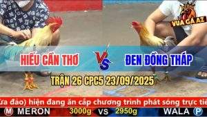 Trận 26 CPC5 23/9/2025 - Anh Hiếu Cần Thơ Và Anh Đen Đồng Tháp