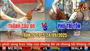 Trận 26 CPC5 24/9/2025 - Anh Thành Cầu Đỏ Và Anh Phú Trí Tôn